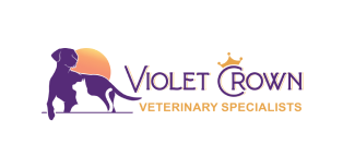 Violet Crown Veterinary Specialists logo featuring a dog silhouette and sunset icon