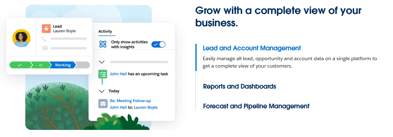 Screenshot from Salesforce